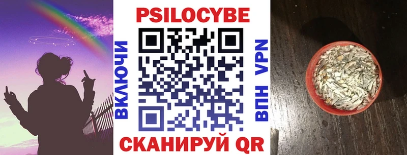 Псилоцибиновые грибы мицелий Гусь-Хрустальный